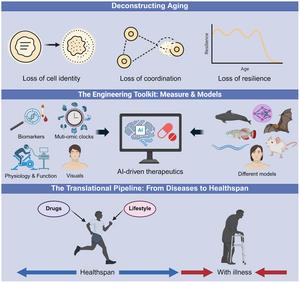 Toward actionable interventions in human aging (12th ARDD meeting, 2025)
