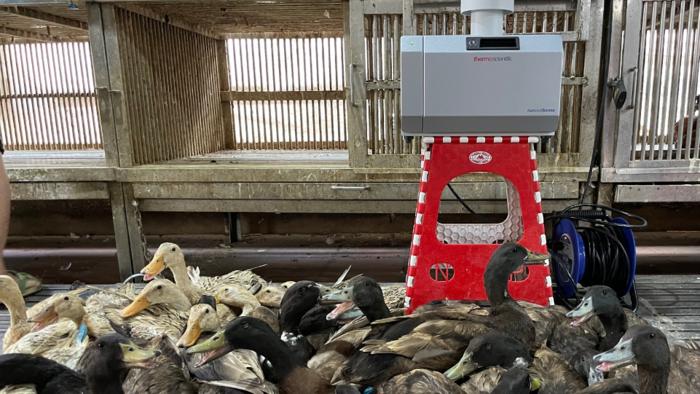 Air sampling in poultry market