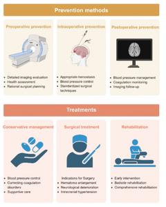 Fig. 3. Prevention methods and treatments for postoperative rebleeding.