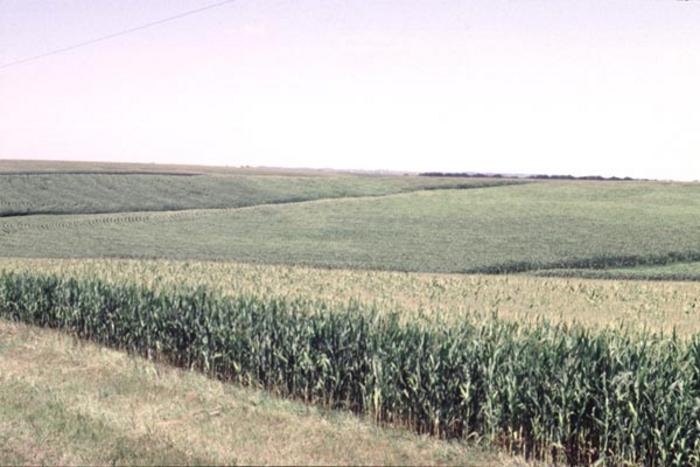 The Production Scenario