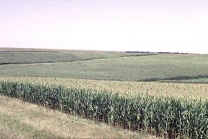 The Production Scenario