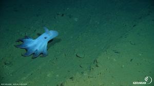 The expedition is taking place as part of the MiningImpact project, which has been researching the environmental impacts of potential deep-sea mining since 2015.