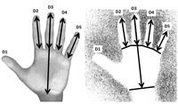 Hand Measure