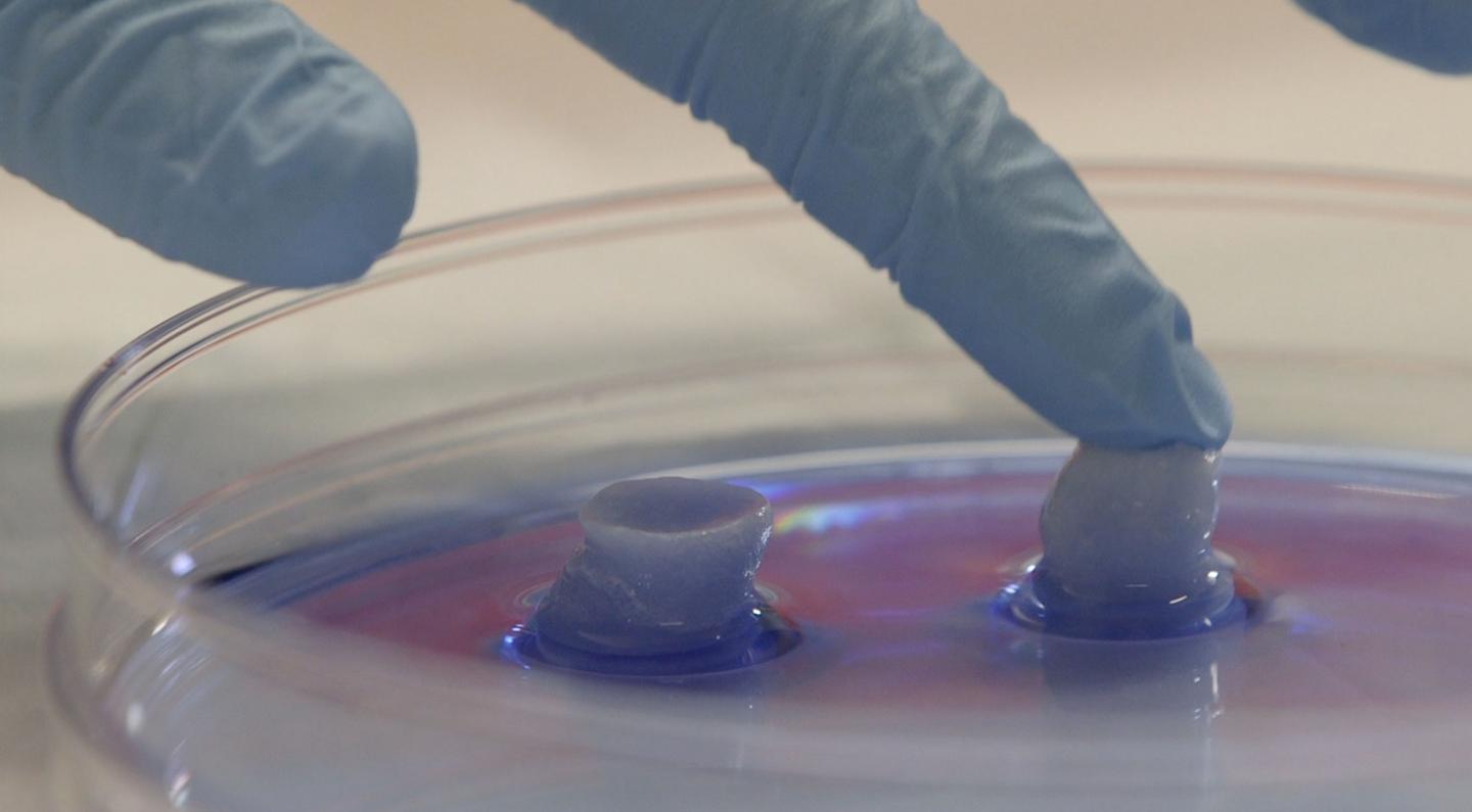 Silk Sponges that Can Help the Body Heal (Video)