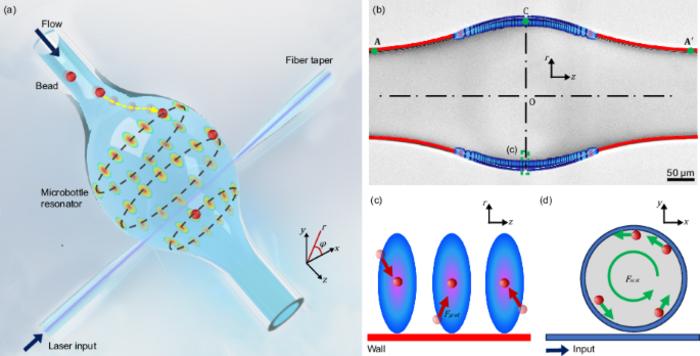 Gradient-thickness-protected WGM microbottle resonator for large-scale particle trapping.