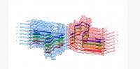Astbury Leeds Amyloid Protein Structure