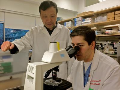 Jianqin Ye and Yerem Yeghiazarians, University of California - San Francisco (1 of 2)