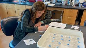 Alex Pomroy in laboratory