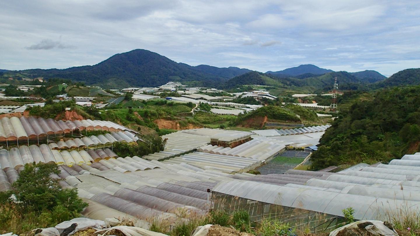 How Do Land-Use Changes Affect the Spread of Diseases Between Animals and People?
