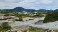 How Do Land-Use Changes Affect the Spread of Diseases Between Animals and People?