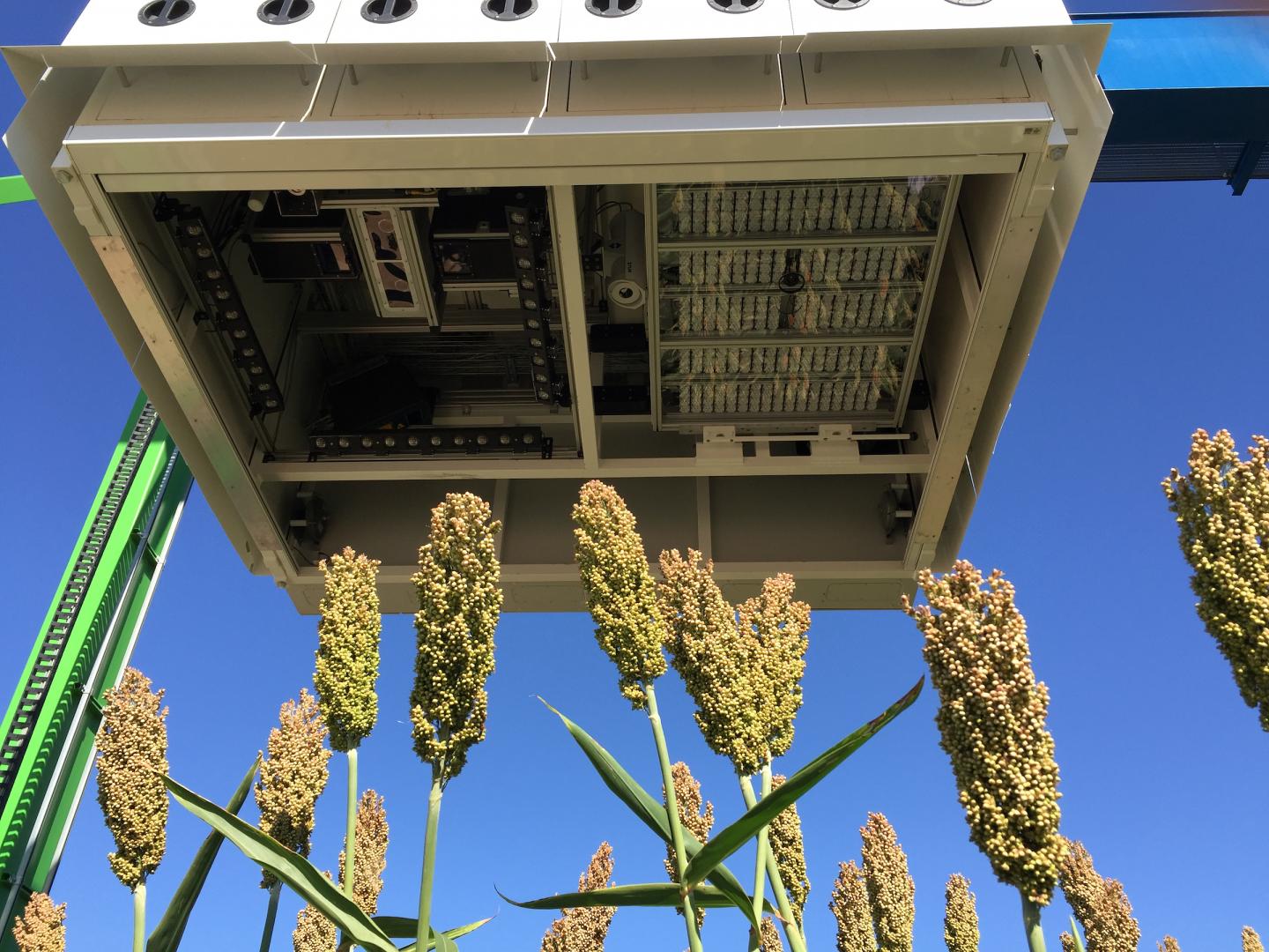 TERRA-REF Field Phenotyper