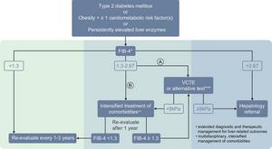 Algorithm for non-invasive risk stratification of individuals with suspected MASLD (reproduced with modifications from Tacke et al 1 under the CC BY-NC license (https://creativecommons.org/licenses/by-nc/4.0/)).