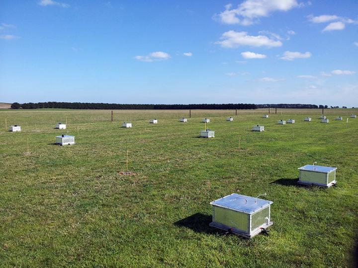Nitrogen chambers