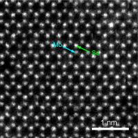 Two-Dimensional Molybdenum Diselenide