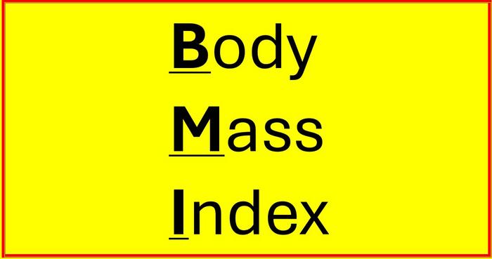 Body Mass Index