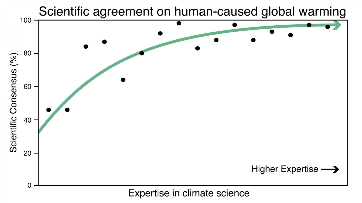 Consensus Depends on Expertise