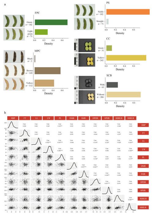 Phenotypic diversity of Zhejiang soybean landraces.