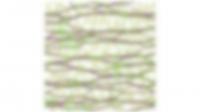 General description of cell wall model stretching