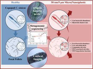 MICRO(NANO)PLASTICS DISRUPT GUT/FECAL MICROBES IN THE COPEPOD
