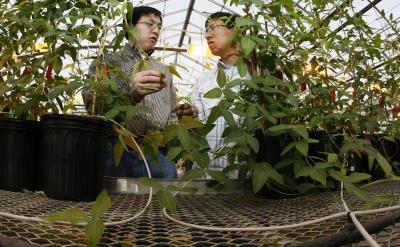 Jianxin Ma and Zhixi Tian, Purdue University