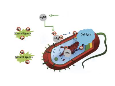 Microbe Graphic