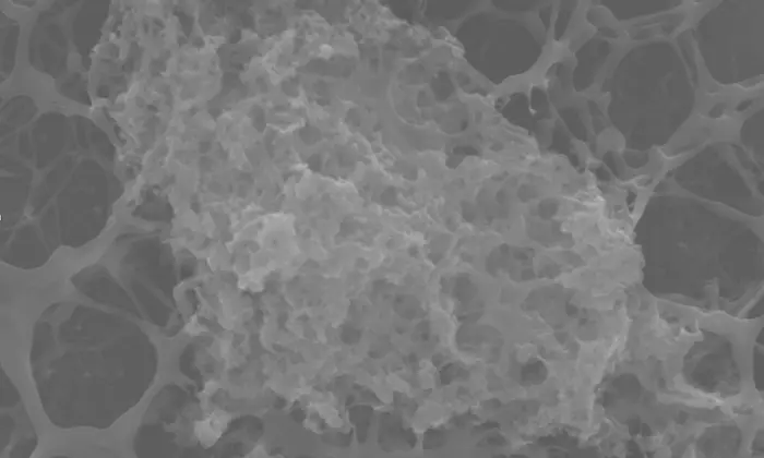The antibacterial surface