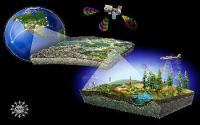 Large-Scale Experiments Needed to Predict Global Change (2 of 3)