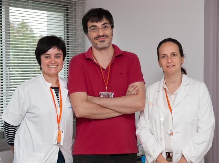 Research Team