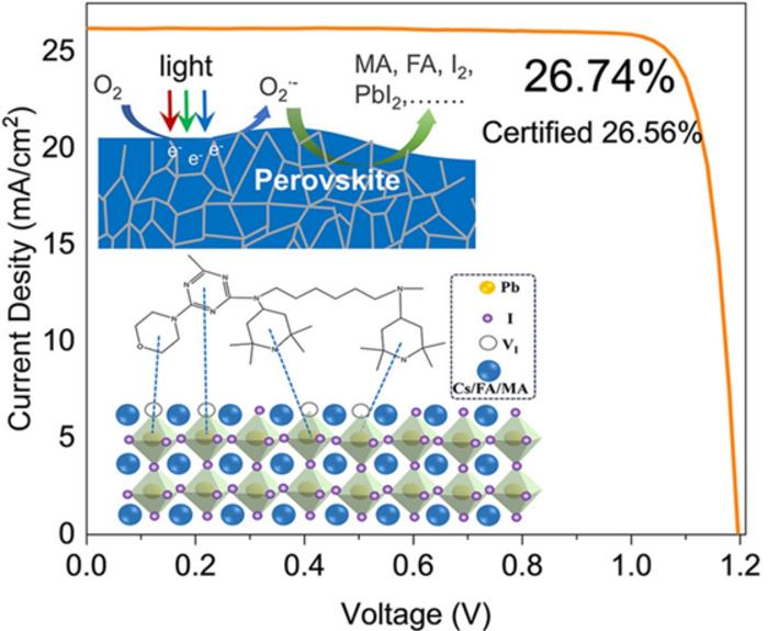 Hindered amine stabilization suppresses light-induced degradation while enabling record-efficiency perovskite solar cells
