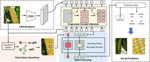 Figure 4. Overall architecture of PET for corn ear kernel localization.