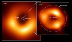 Size comparison of the two black holes imaged by the Event Horizon Telescope (EHT) Collaboration