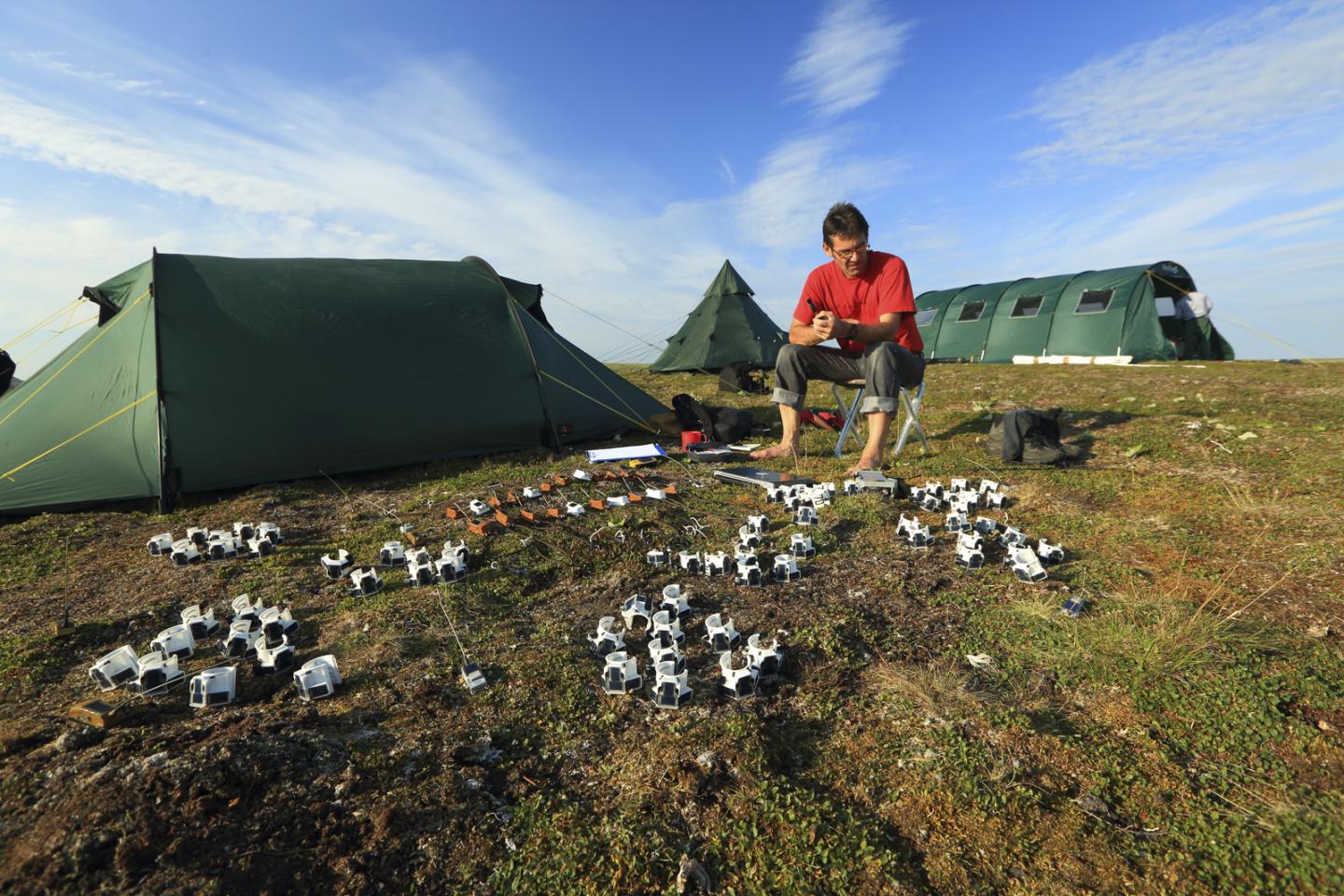 Animal Tracking Meets Big Data (3 of 6)