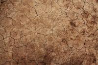 Drought