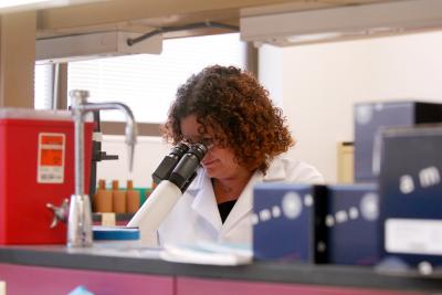 Dorothy Supp, PhD
