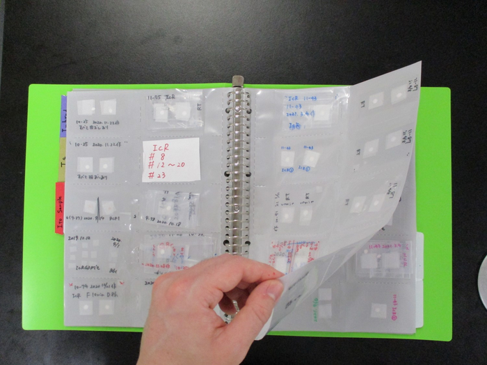 "Sperm Book"