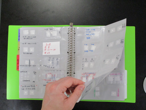 "Sperm Book"