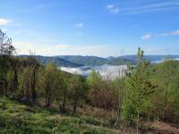 Tennessee's Cumberland Mountains
