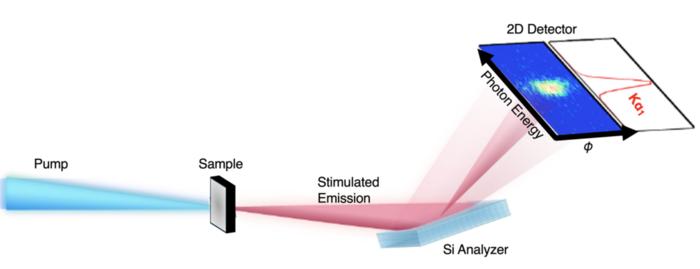 Experimental schematic