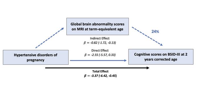 Preterm infant brain development affected by maternal high blood pressure