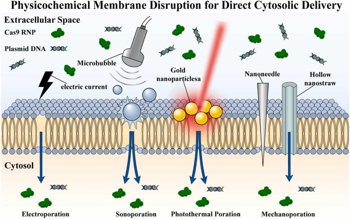Physicochemical membrane disruption strategies for direct cytosolic delivery