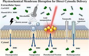 Physicochemical membrane disruption strategies for direct cytosolic delivery