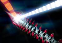 Electron Phonon Coupling Graphic