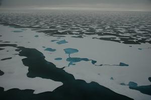 Arctic sea ice