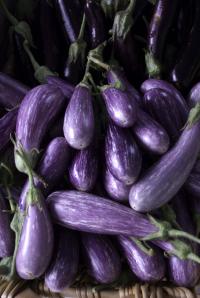 Eggplants