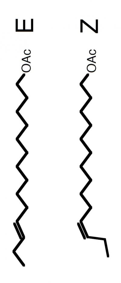 E and Z Pheromone