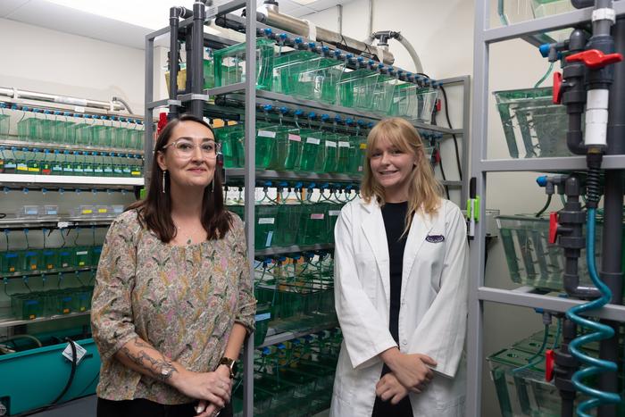 NIH Grant to Help Repair Nerve Damage