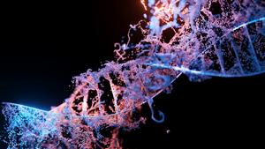 Epigenetic illustration