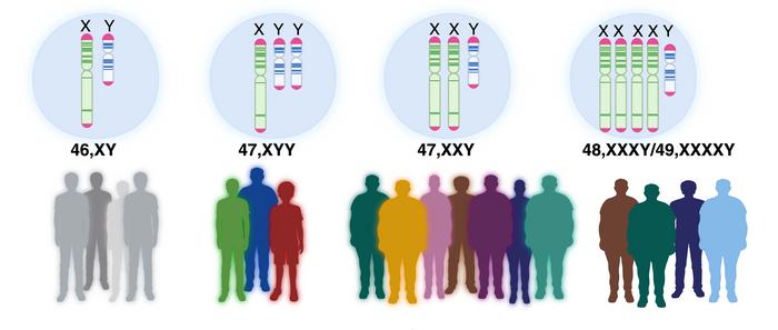 Sex chromosome overload sparks to a common developmental faultline