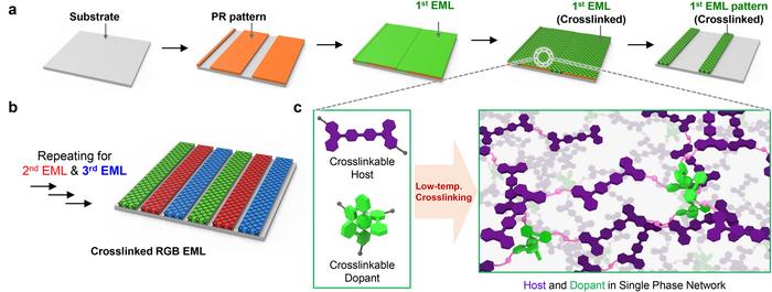 Figure 1 | Schematic illustrations of indirect photopatterning method of OLED EMLs based on RGB luminophores in single phase network structure.