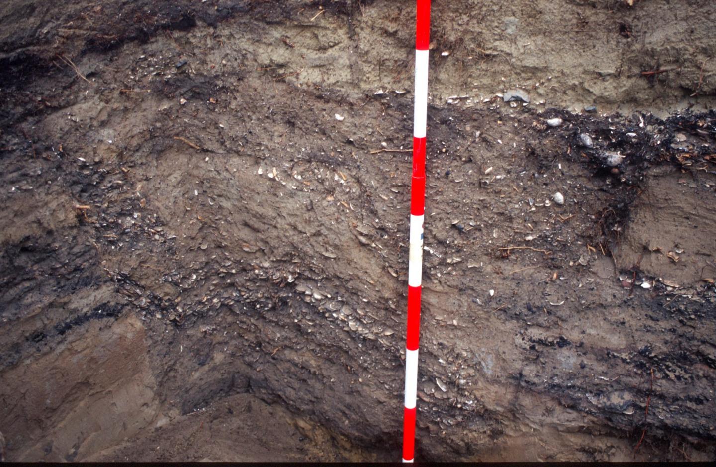 Kumara pit detailed
